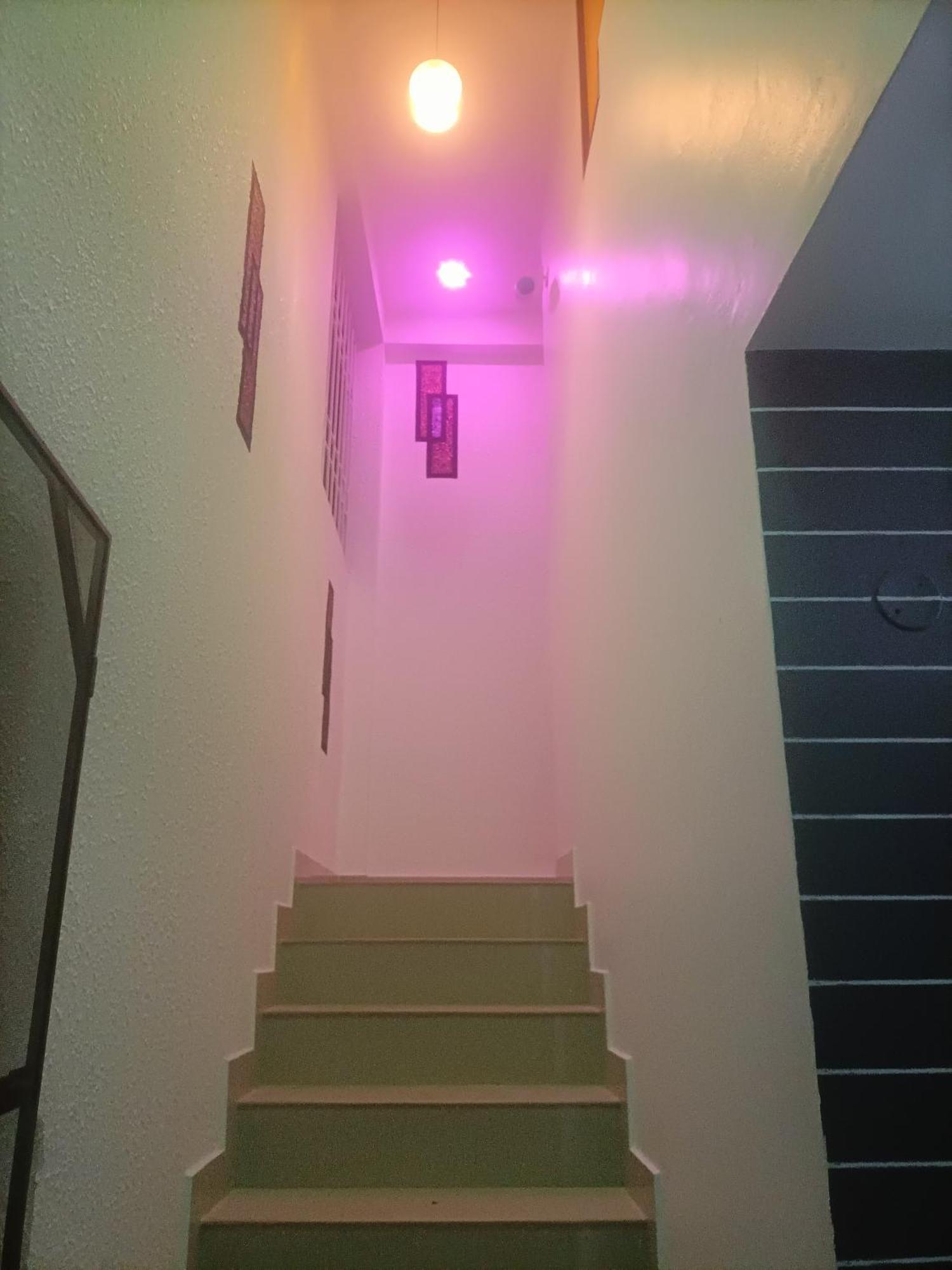 Cozy Haven Apartment Kochi Exterior photo